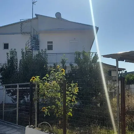 ゲストハウス Vasilis Guesthouse By The Airport 3*